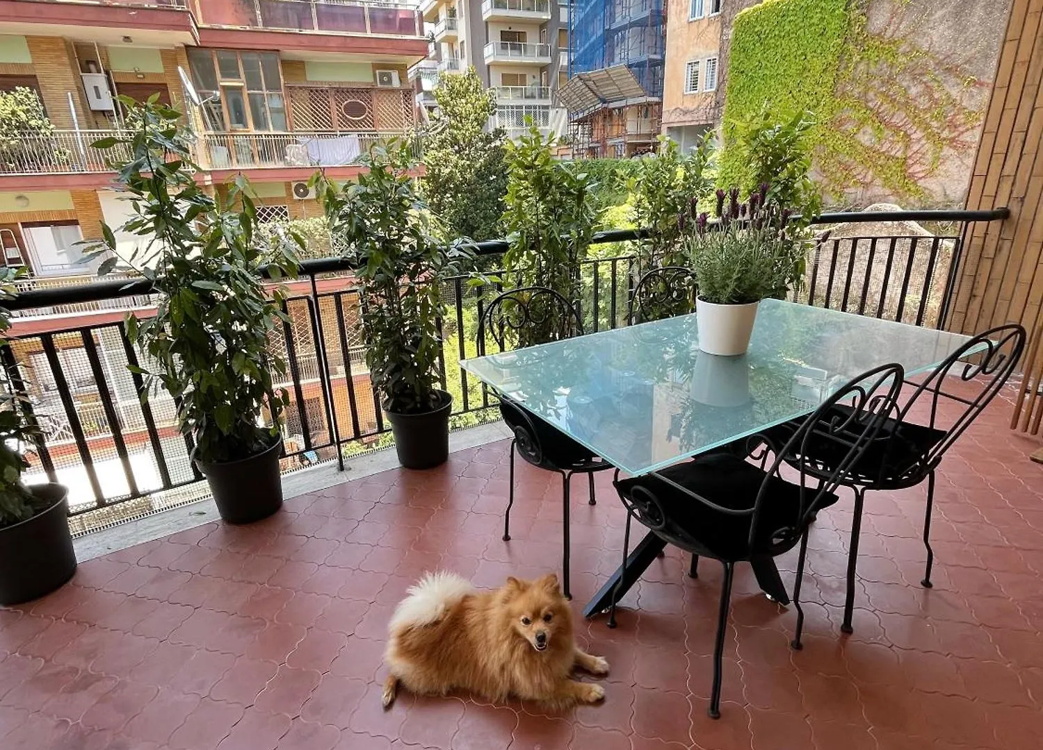 Apartment Gieffeapart • Elegante Appartamento A Roma